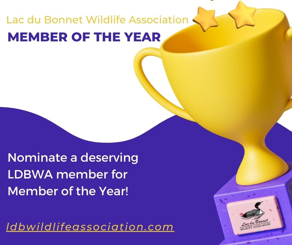 LDBWA Member of the Year Award 2022 Image of a trophy with the Lac du Bonnet Wildlife Association logo