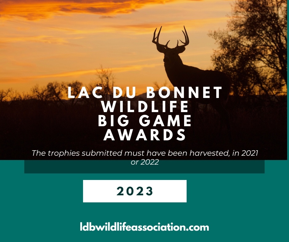 big game awards Big Game Awards poster